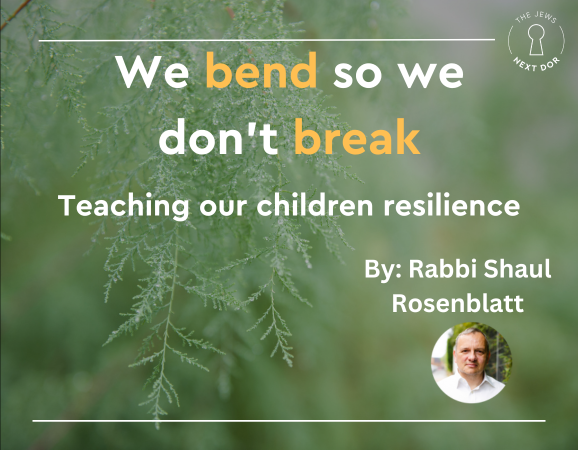 Resilience by Rabbi Shaul Rosenblatt
