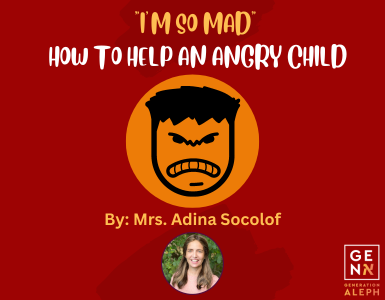 I’m So Mad: How to Help an Angry Child – Mrs. Adina Socolof
